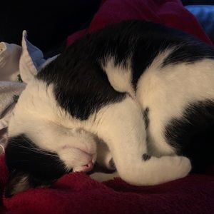 Meet your Posher, Maureen